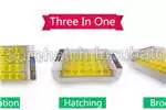 Egg Incubator Mama-Hen 24 Egg Incubator 2018