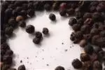 Seeds Fertilisers and Chemicals BLACK AND WHITE PEPPER FOR SALE