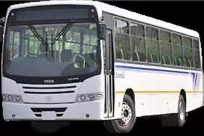 Buses New - LPO 1823 Marcopolo (65 Seater) 2022