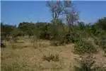 Property Vacant land Vacant Land Residential For Sale in MODITLO NATURE