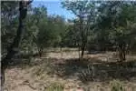 Property Vacant land Vacant Land Residential For Sale in MODITLO NATURE