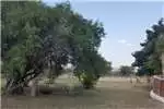 Property Farms Farm For Sale in Naboomfontein A H