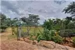 Property Farms Farm For Sale in MOKOPANE