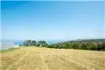 Property Vacant land Vacant Land Residential For Sale in LE GRAND