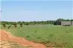 Property Farms Farm For Sale in MUSINA