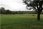 Property Farms Game Farm Lodge For Sale in WATERBERG