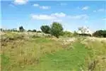 Property Vacant land Vacant Land Residential For Sale in BAARDSKEERDERS