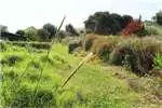 Property Vacant land Vacant Land Residential For Sale in BAARDSKEERDERS