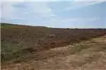 Property Vacant land Vacant Land Residential For Sale in Outeniquasbosc