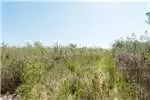 Property Vacant land Vacant Land Residential For Sale in HANSMOESKRAAL