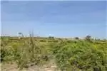 Property Vacant land Vacant Land Residential For Sale in Colchester