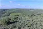 Property Vacant land Vacant Land Agricultural For Sale in Uitenhage Rur