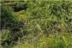 Property Vacant land Vacant Land Residential For Sale in Simbithi Eco E