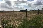 Property Vacant Land Residential For Sale in Theronville