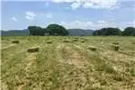Livestock Livestock feed Lucerne Bales for sale Brits for sale by Private Seller | Truck & Trailer Marketplace