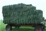 Livestock Livestock feed Lucerne Bales for sale Brits for sale by Private Seller | Truck & Trailer Marketplace