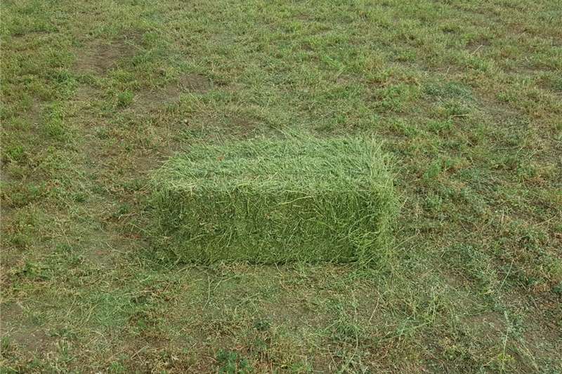 Livestock Livestock feed Lucerne bales for sale for sale by Private Seller | Truck & Trailer Marketplace
