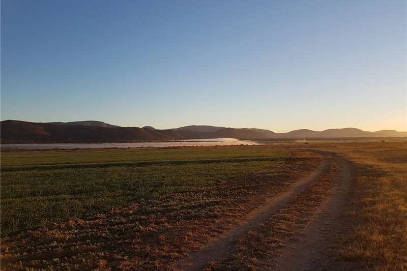 [application] Irrigation in South Africa on AgriMag Marketplace