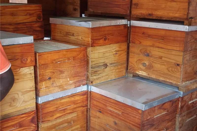 Beekeeping in South Africa on AgriMag Marketplace
