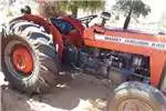 Tractors MF 240 trekker te koop