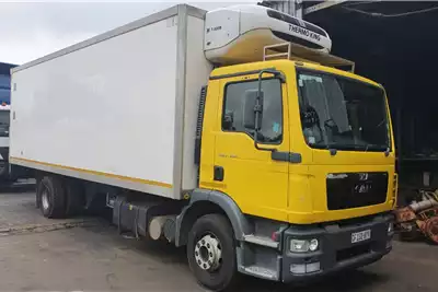 Refrigerated Trucks TGM15-240 2017