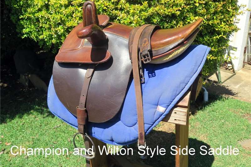 a variety of Equestrian on offer in South Africa on AgriMag Marketplace