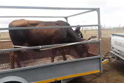 Trailers Cattle & Livestock Trailer 2021