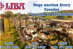 Livestock Weekly livestock auctions