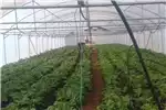 Structures and dams Greenhouses Greenhouse tunnels and chicken houses for sale by Private Seller | AgriMag Marketplace