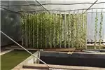 Structures and dams Greenhouses Galvanized Greenhouse Tunnels for sale for Aquapon for sale by Private Seller | AgriMag Marketplace