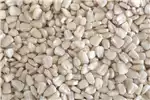 Seeds fertilisers and chemicals White Maize For Sale for sale by Private Seller | AgriMag Marketplace