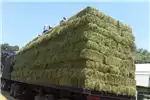 Livestock Livestock feed LUCERNE BALES SUPPLIERS PTY LTD for sale by Private Seller | AgriMag Marketplace