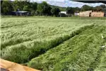 Livestock Livestock feed Teff bales for sale by Private Seller | AgriMag Marketplace