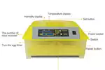 Egg incubator 48 Egg Incubator Combo for sale by Private Seller | AgriMag Marketplace