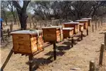 Beekeeping Beehives Bees and Beekeeping Tools & Equipment for sale by Private Seller | AgriMag Marketplace