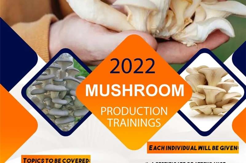 Horticulture & crop management Plants Mushroom production trainings for sale by Private Seller | AgriMag Marketplace