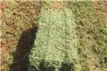 Livestock Livestock feed 250kgs Lucerne Bales Supplier's for sale by Private Seller | Truck & Trailer Marketplace