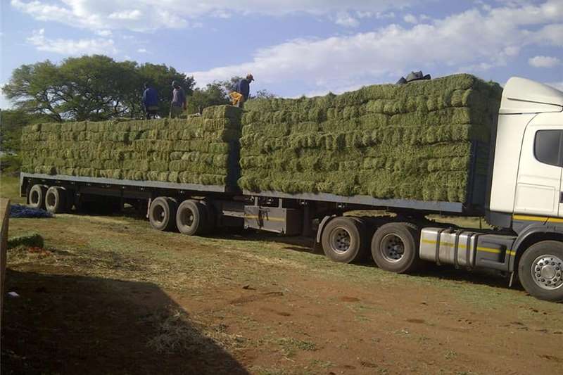 a variety of [category] on offer in South Africa on Truck & Trailer Marketplaces