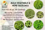Horticulture & crop management Plants Vegetable and Herb seedlings for sale for sale by Private Seller | AgriMag Marketplace