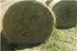 Haymaking and silage Bale shredders Eragrostis / Oulands gras / Smutsvinger for sale by Private Seller | AgriMag Marketplace