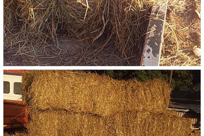 Livestock Livestock feed Grass bales for sale.small blok bales for sale by Private Seller | AgriMag Marketplace