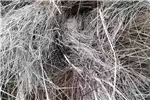 Livestock Livestock feed Eragrostis bales 1.2m bales cut and bale Feb 2022n 2022 for sale by Private Seller | Truck & Trailer Marketplace