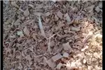 Other Pine Wood Shavings for sale by Private Seller | AgriMag Marketplace