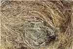 Livestock Feeding systems Round  Grass Bales. for sale by Private Seller | AgriMag Marketplace