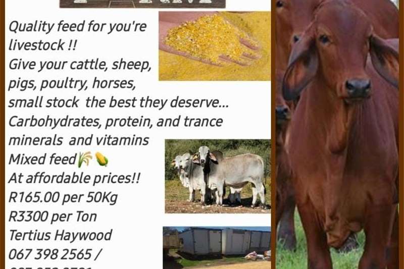 a variety of Livestock on offer in South Africa on AgriMag Marketplace