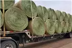 Livestock Livestock feed Grade A Teff Round Bales for sale by Private Seller | Truck & Trailer Marketplace