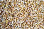 Livestock Livestock feed A Grade Yellow Maize For Animal Feed for sale by Private Seller | Truck & Trailer Marketplace