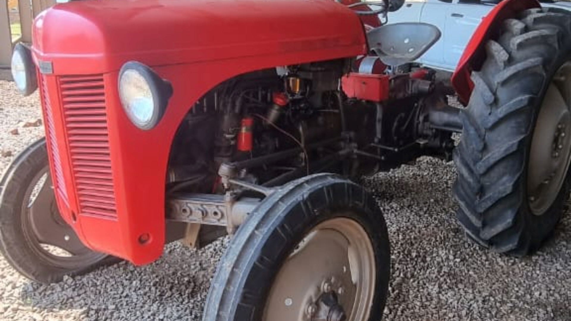 Massey Ferguson Tractors Runner 1955 for sale by Armour Plant Sales | AgriMag Marketplace