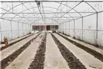 Structures and dams Greenhouses Tunnel 10x30x5 Climate Cotrolled for sale by Private Seller | AgriMag Marketplace