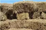 Livestock Livestock feed Gras bales for sale for sale by Private Seller | Truck & Trailer Marketplace